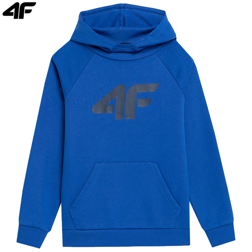 SWEATSHIRT M220