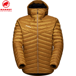 Albula IN Hooded Jacket Men