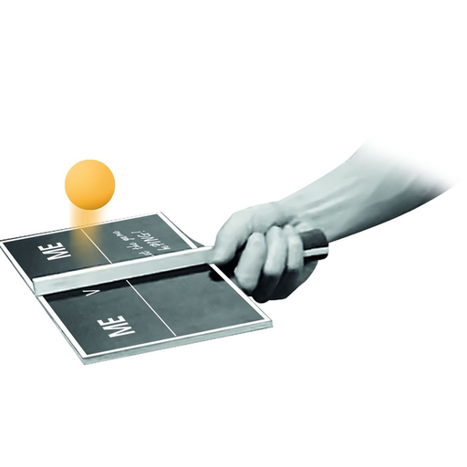 sunflex TABLE TENNIS FOR 1