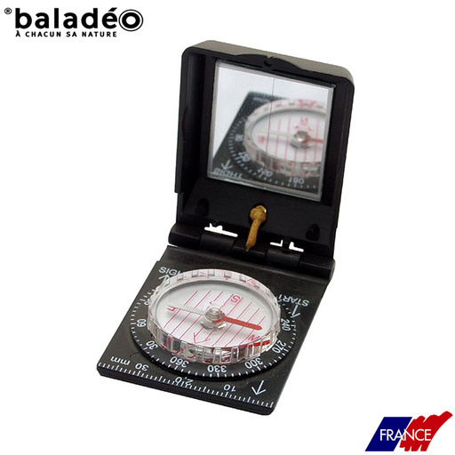 Mini sighting compass