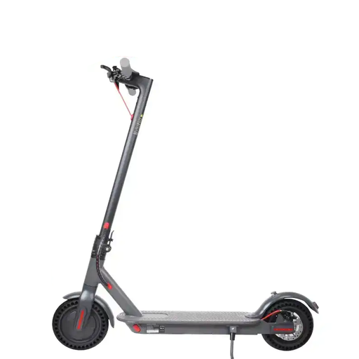 E-Scooter 36V 350W