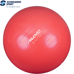 Fitness/Gym Ball · Ø 55 cm ·