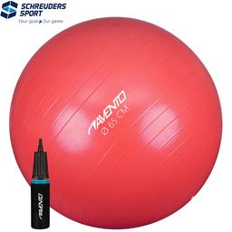 Fitness/Gym Ball + Pump · Ø 65 cm ·