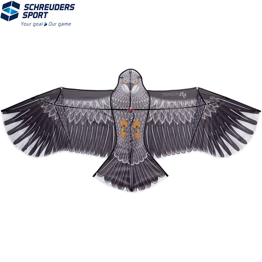 Kite · Eagle ·