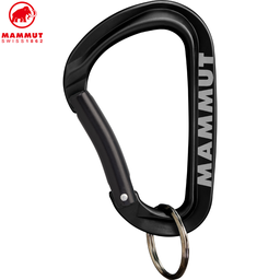 Mammut Mini Carabiner Workhorse Keylock L
