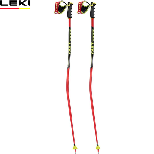 Worldcup Racing GS